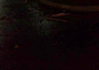 Ναύπακτος: Κεραυνός έπεσε πάνω σε πλατάνι στο Γρίμποβο - Φωτογραφία 1