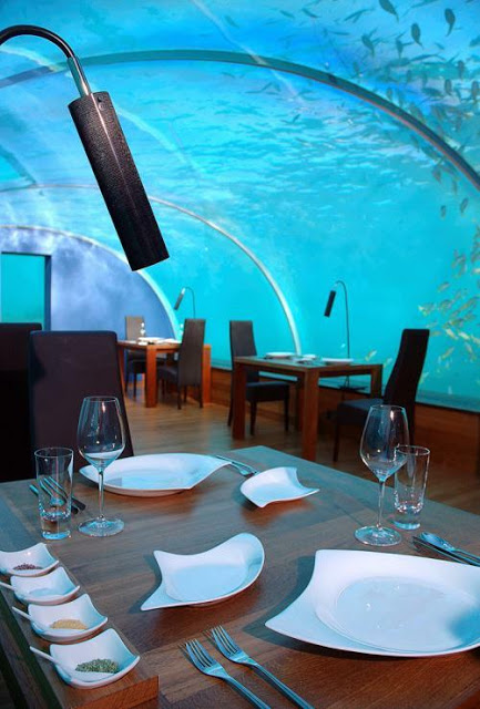 ΔΕΙΤΕ το Εστιατόριο μέσα...στη θάλασσα - Εσεις θα πηγαίνατε; [photos] - Φωτογραφία 3