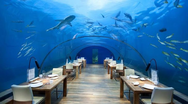ΔΕΙΤΕ το Εστιατόριο μέσα...στη θάλασσα - Εσεις θα πηγαίνατε; [photos] - Φωτογραφία 5