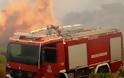 18 στρέμματα γης έγιναν… στάχτη – Τρία μέτωπα αντιμετώπισαν σήμερα οι Πυροσβέστες