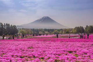 Αυτοί είναι 15 λόγοι για να επισκεφτείτε την Ιαπωνία! - Φωτογραφία 1