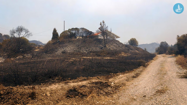 Εικόνες καταστροφής στη Ρόδο από τη μεγάλη πυρκαγιά! [photos] - Φωτογραφία 3