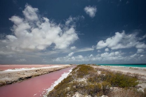 Μοναδικές ροζ παραλίες σε όλο τον κόσμο! [photos] - Φωτογραφία 10