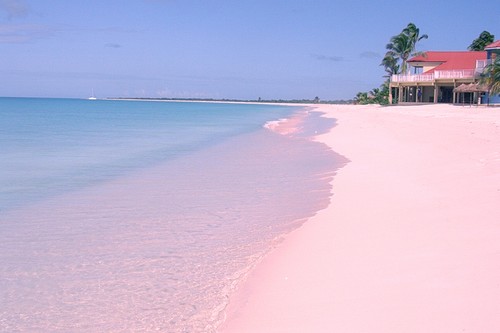 Μοναδικές ροζ παραλίες σε όλο τον κόσμο! [photos] - Φωτογραφία 7
