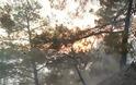 Πύρινη λαίλαπα κατακαίει την Κύπρο - Εκκενώνονται στρατόπεδα και μοναστήρια [photos] - Φωτογραφία 8