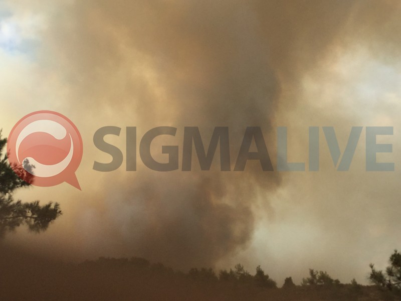 Μαίνεται η μεγάλη φωτιά στην Κύπρο - Νεκρός και 2ος δασοπυροσβέστης – ΦΩΤΟ - ΒΙΝΤΕΟ - Φωτογραφία 8