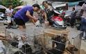 Παγκόσμια κατακραυγή για το Φεστιβάλ Γιουλίν: Χιλιάδες σκυλιά και γάτες περιμένουν τη σφαγή τους σε κλουβιά [ΠΟΛΥ ΣΚΛΗΡΕΣ ΕΙΚΟΝΕΣ]
