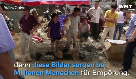 Σοκ: Εσφαξαν και σούβλισαν χιλιάδες σκυλιά σε φεστιβάλ στην Κίνα - Φωτογραφία 2
