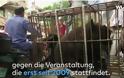 Σοκ: Εσφαξαν και σούβλισαν χιλιάδες σκυλιά σε φεστιβάλ στην Κίνα - Φωτογραφία 3
