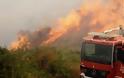 Kρήτη: Στο πόδι η πυροσβεστική για το ενδεχόμενο νέας φωτιάς