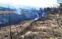 Απολογισμός της φωτιάς στη Ρόδο: Καταστράφηκαν πάνω από 22.000 στρέμματα δάσους!