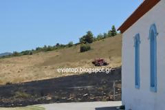 Υπο μερικό έλεγχο η φωτιά στην Εύβοια - Δείτε τις ΠΡΩΤΕΣ ΕΙΚΟΝΕΣ [photos]