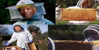 6 Διάσημοι Μελισσοκόμοι - Φωτογραφία 1