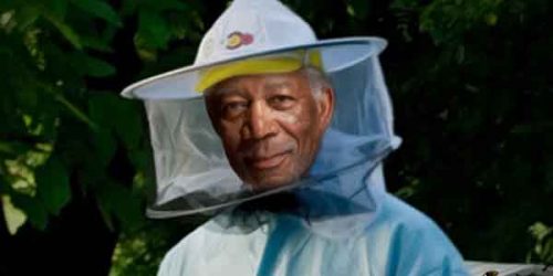 6 Διάσημοι Μελισσοκόμοι - Φωτογραφία 2