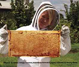 6 Διάσημοι Μελισσοκόμοι - Φωτογραφία 5