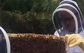 6 Διάσημοι Μελισσοκόμοι - Φωτογραφία 4