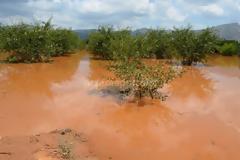 Απέραντη λίμνη η Τεγέα με ανυπολόγιστες καταστροφές [photos+video]