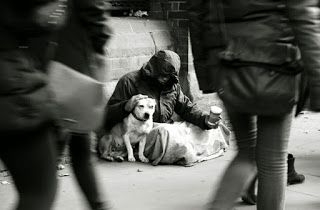 Αυτό θα πει αφοσίωση: Σκυλιά που έμειναν με τα αφεντικά τους στα δύσκολα... [photos] - Φωτογραφία 1