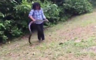 ΑΠΙΣΤΕΥΤΟ! Ορμάει και πιάνει το φίδι χωρίς δισταγμό και... [video] - Φωτογραφία 1
