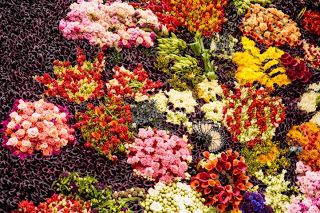 “Zωντανός” πίνακας με 25.000 λουλούδια! [photos] - Φωτογραφία 1