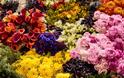 “Zωντανός” πίνακας με 25.000 λουλούδια! [photos] - Φωτογραφία 6