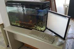 PC - ενυδρείο κατασκεύασαν φοιτητές του Πανεπιστημίου Πελοποννήσου στην Τρίπολη