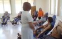 Εκστρατεία Εθελοντικής Αιμοδοσίας: Το ραντεβού συνεχίζεται στις Συκιές και Νεάπολη - Φωτογραφία 2