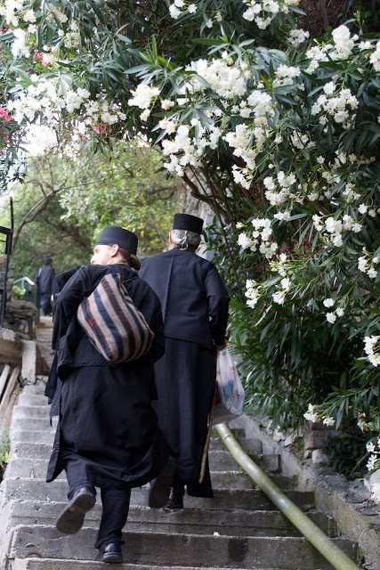 8631 - Πανήγυρις του Ιερού Κελλιού των Βολιωτών «Άγιοι Πάντες» της Ι. Σκήτης της Αγίας Άννης (φωτογραφίες) - Φωτογραφία 49