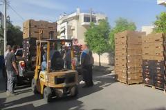 68.400 κιλά οπωρολαχανικά και 38.303 τεμάχια ειδών βασικής διατροφής και πρώτης ανάγκης διένειμε σε 2.425 ωφελούμενους του προγράμματος ΤΕΒΑ, ο Δήμος Αμαρουσίου