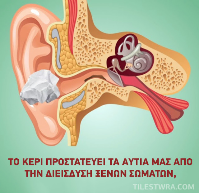 Γιατί δεν πρέπει να χρησιμοποιείτε μπατονέτες στα αυτιά σας; - Φωτογραφία 7