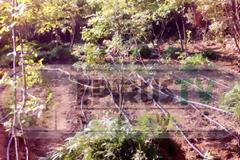 Ηπειρος: Ισχυρό Πλήγμα στο Καρτέλ των ναρκωτικών - Ξεριζώθηκαν χιλιάδες δενδρύλλια Χασίς στην Αγία Μαρίνα