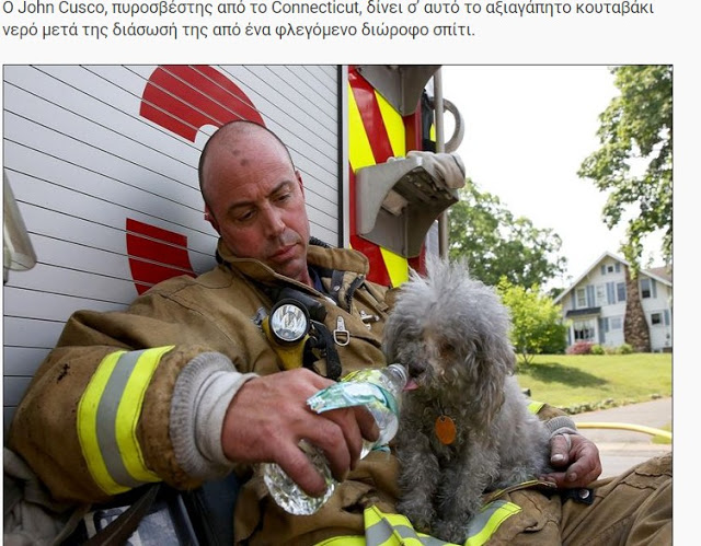ΗΡΩΕΣ! Δείτε 16 Γενναίους πυροσβέστες τη στιγμή που σώζουν τις ζωές διαφόρων ζώων... [photos] - Φωτογραφία 12