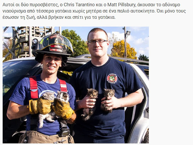 ΗΡΩΕΣ! Δείτε 16 Γενναίους πυροσβέστες τη στιγμή που σώζουν τις ζωές διαφόρων ζώων... [photos] - Φωτογραφία 15