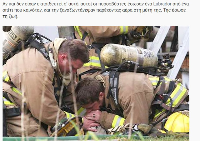 ΗΡΩΕΣ! Δείτε 16 Γενναίους πυροσβέστες τη στιγμή που σώζουν τις ζωές διαφόρων ζώων... [photos] - Φωτογραφία 16