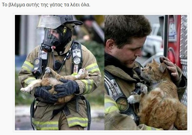 ΗΡΩΕΣ! Δείτε 16 Γενναίους πυροσβέστες τη στιγμή που σώζουν τις ζωές διαφόρων ζώων... [photos] - Φωτογραφία 18