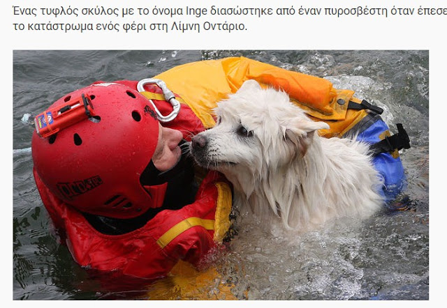 ΗΡΩΕΣ! Δείτε 16 Γενναίους πυροσβέστες τη στιγμή που σώζουν τις ζωές διαφόρων ζώων... [photos] - Φωτογραφία 2