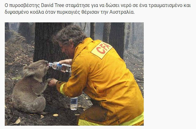 ΗΡΩΕΣ! Δείτε 16 Γενναίους πυροσβέστες τη στιγμή που σώζουν τις ζωές διαφόρων ζώων... [photos] - Φωτογραφία 3