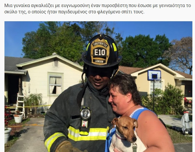 ΗΡΩΕΣ! Δείτε 16 Γενναίους πυροσβέστες τη στιγμή που σώζουν τις ζωές διαφόρων ζώων... [photos] - Φωτογραφία 5