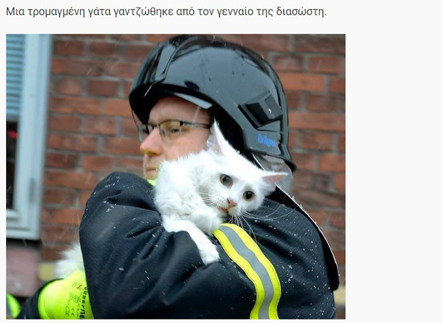ΗΡΩΕΣ! Δείτε 16 Γενναίους πυροσβέστες τη στιγμή που σώζουν τις ζωές διαφόρων ζώων... [photos] - Φωτογραφία 8