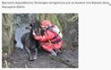 ΗΡΩΕΣ! Δείτε 16 Γενναίους πυροσβέστες τη στιγμή που σώζουν τις ζωές διαφόρων ζώων... [photos] - Φωτογραφία 11