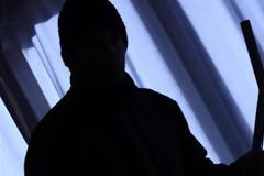 Απίστευτο! Πήγε να κλέψει στο σπίτι και μόλις είδε το Λαμπραντόρ... [photos]