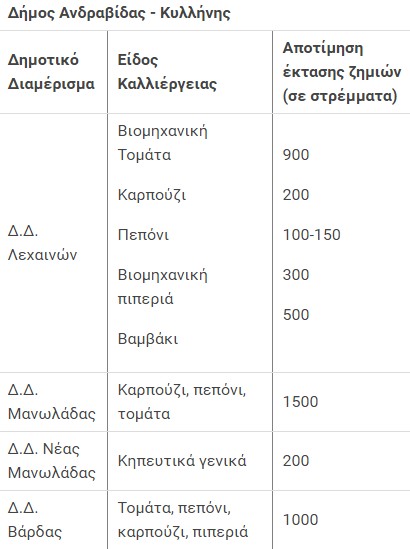 Οι καταστροφές στην Ηλεία από την πρόσφατη κακοκαιρία - Πάνω από 10.000 στρέμματα επλήγησαν - Φωτογραφία 2