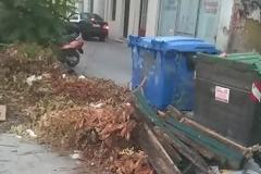Αποκρουστική η καθημερινή εικόνα που παρουσιάζει η Δημοτική Ενότητα Ρίου