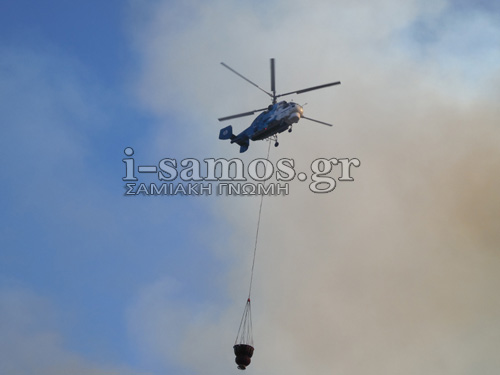 Σάμος: Ανεξέλεγκτα τα μέτωπα της φωτιάς! [photos+video] - Φωτογραφία 13