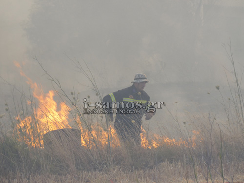 Σάμος: Ανεξέλεγκτα τα μέτωπα της φωτιάς! [photos+video] - Φωτογραφία 8