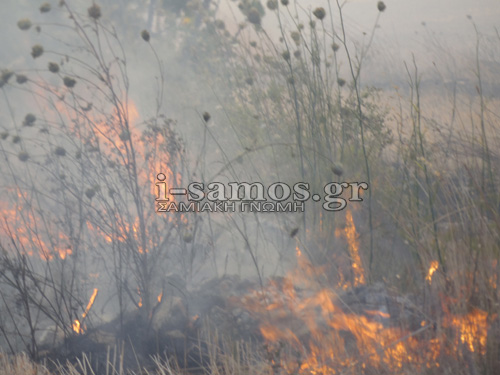 Σάμος: Ανεξέλεγκτα τα μέτωπα της φωτιάς! [photos+video] - Φωτογραφία 9