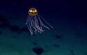 Μυστηριώδη πλάσματα που βρέθηκαν στους ωκεανούς! [photos] - Φωτογραφία 1