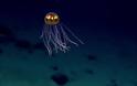Μυστηριώδη πλάσματα που βρέθηκαν στους ωκεανούς! [photos] - Φωτογραφία 9