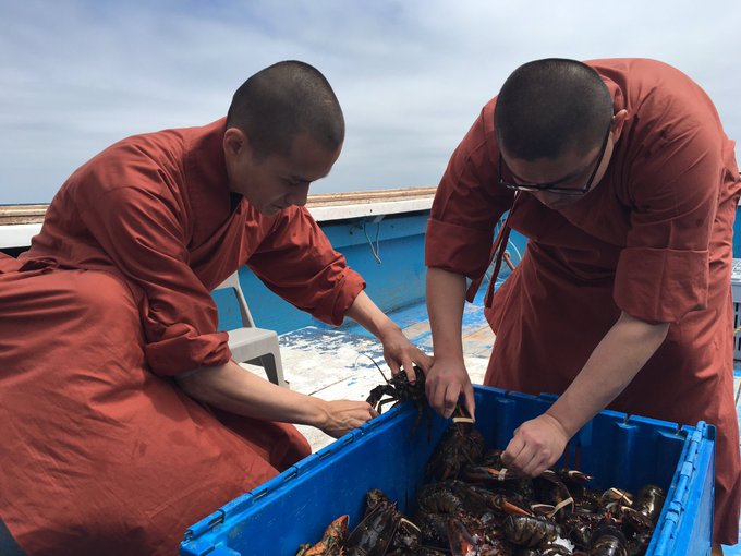 Βουδιστές μοναχοί αγόρασαν εκατοντάδες αστακούς και τους απελευθέρωσαν στον ωκεανό - Φωτογραφία 2