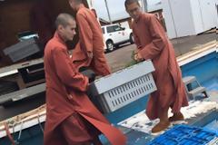 Βουδιστές μοναχοί αγόρασαν εκατοντάδες αστακούς και τους απελευθέρωσαν στον ωκεανό